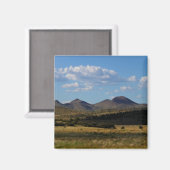 1本もしのみ – Prescott Valley, AZ マグネット (正面/裏面)