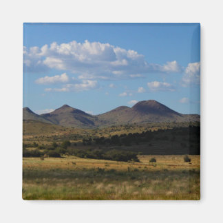 1本もしのみ – Prescott Valley, AZ マグネット