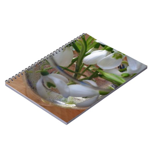 1杯の雪 ノートブック (左側)