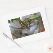 1杯の雪 長方形シール (封筒)