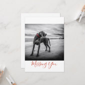 1枚のページカードを恋しく思っているビーチB&Wの写真の犬 カード (正面/裏面インサイチュ)