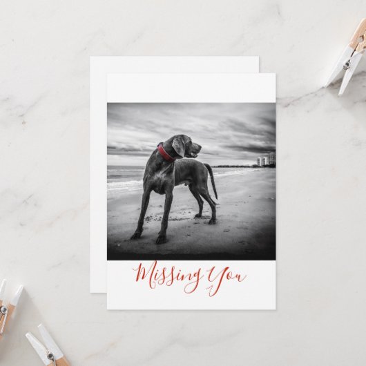 1枚のページカードを恋しく思っているビーチB&Wの写真の犬 カード (正面/裏面インサイチュ)