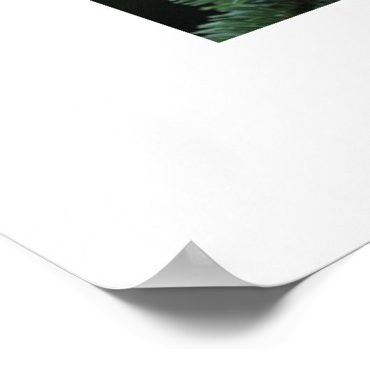 1枚の写真クリスマスファミリー ポスター (角)