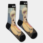 1枚の垂直な写真と文字を上部に配置 – それぞれ同じ ソックス (右)