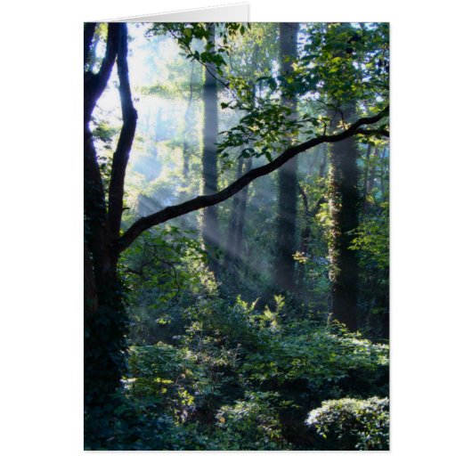 1枚目のライトカード (正面)