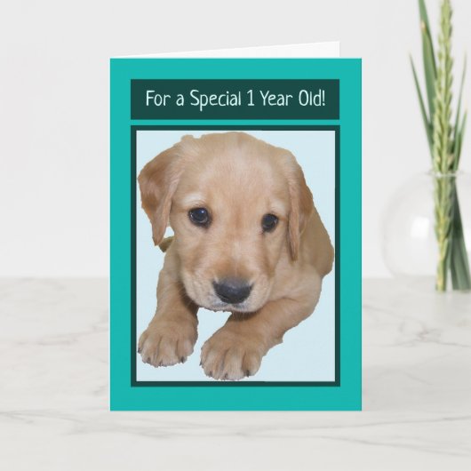 1歳の男の子のかわいい誕生日カード カード (正面)