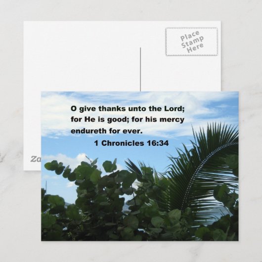 1歴代誌16:34 ポストカード (正面/裏面)