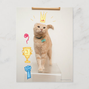 #1猫 ポストカード