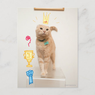 #1猫 ポストカード