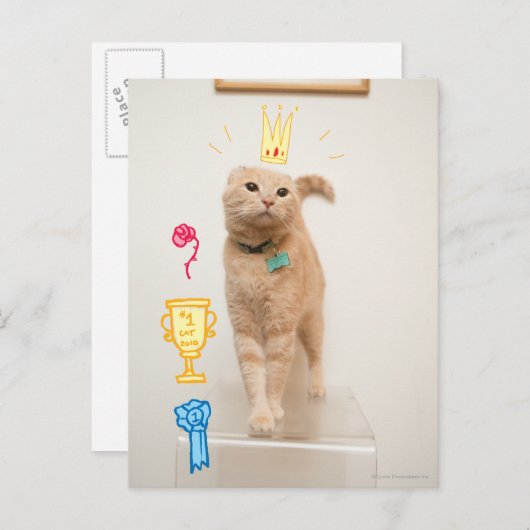 #1猫 ポストカード (正面/裏面)