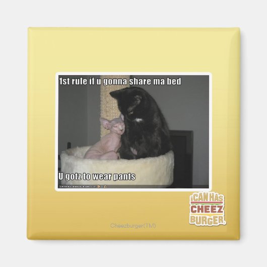 1番目のルーもしルu行く共有maベッド マグネット (正面)