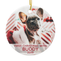 1番目の犬のクリスマスは、あなたの日は写真と一緒に毛皮