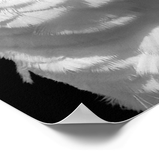 1組の傘 ポスター (角)