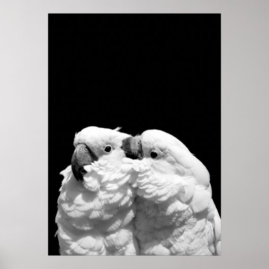 1組の傘 ポスター (正面)