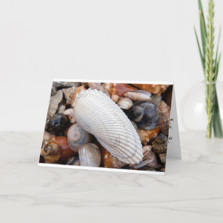 1羽の天使 カード