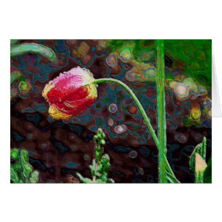 1羽の赤いオウム