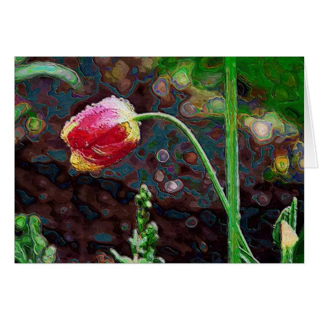 1羽の赤いオウム (正面横)