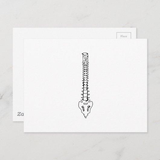 1色の背骨 ポストカード (正面/裏面)