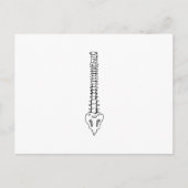 1色の背骨 ポストカード (正面)