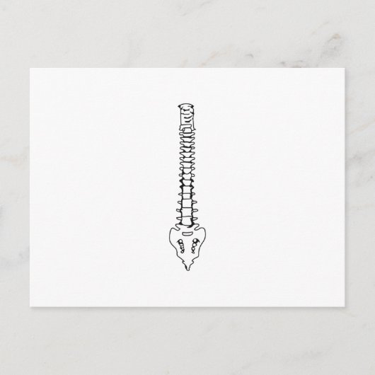 1色の背骨 ポストカード (正面)