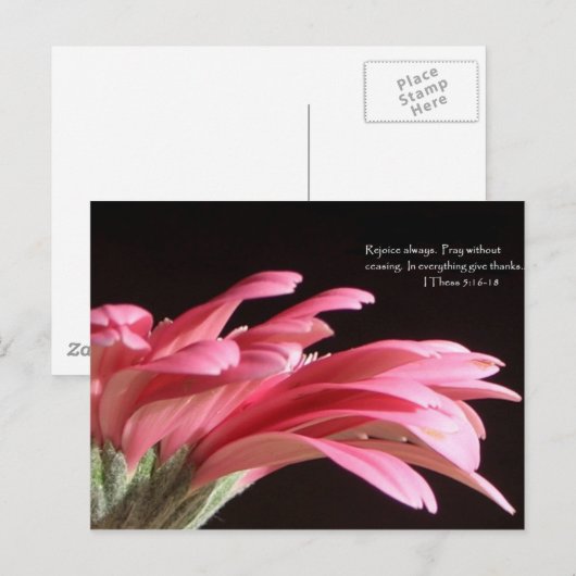 1通5:16-18 ポストカード (正面/裏面)