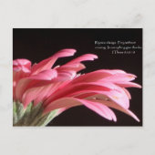 1通5:16-18 ポストカード (正面)