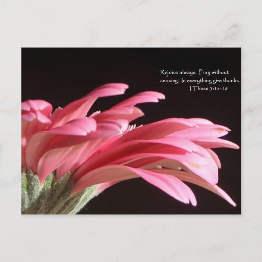 1通5:16-18 ポストカード (正面)