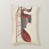 1馬オープンスリー – クリスマス アクセントクッション (正面(垂直))