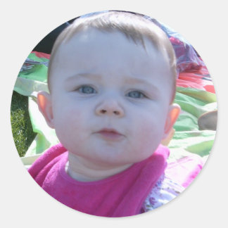 10か月でシェルビー ラウンドシール