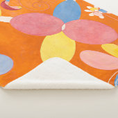 10の大きさ、第4位、若者 |ヒルマフクリント | シェルパブランケット (3/4)