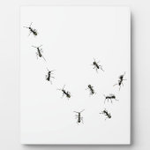 10アリのプラーク フォトプラーク (正面)