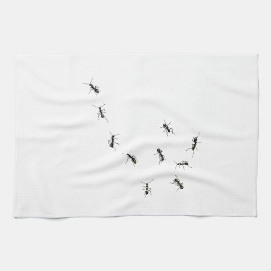 10アリ キッチンタオル (横)