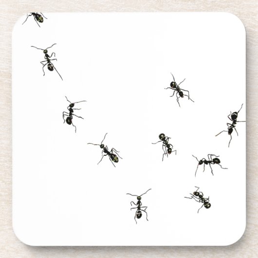 10アリ コースター (正面)