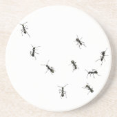 10アリ コースター (正面)