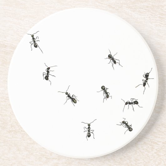 10アリ コースター (正面)