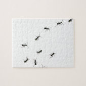 10アリ ジグソーパズル (横)