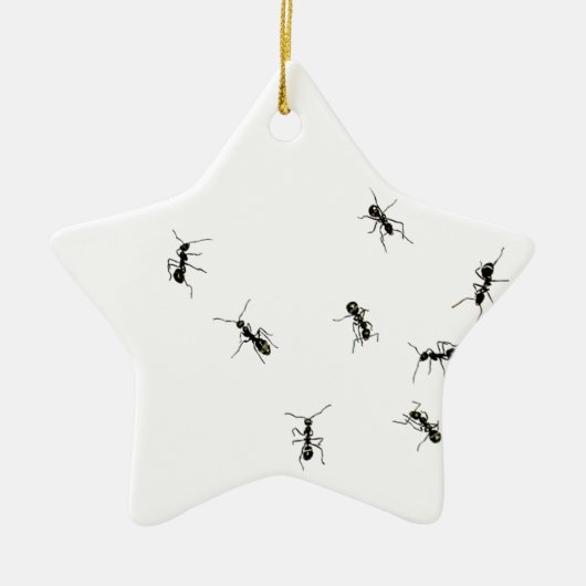 10アリ セラミックオーナメント (正面)