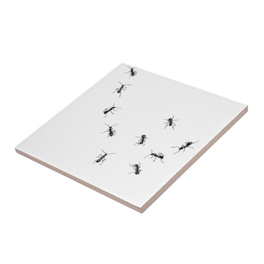 10アリ タイル (側面)