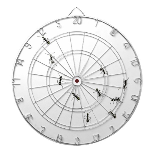 10アリ ダーツボード (正面)