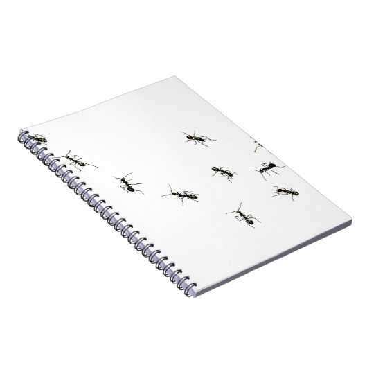 10アリ ノートブック (右側)