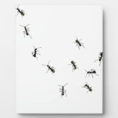 10アリ フォトプラーク (正面)