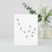 10アリ ポストカード (スタンド正面)