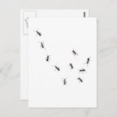 10アリ ポストカード (正面/裏面)