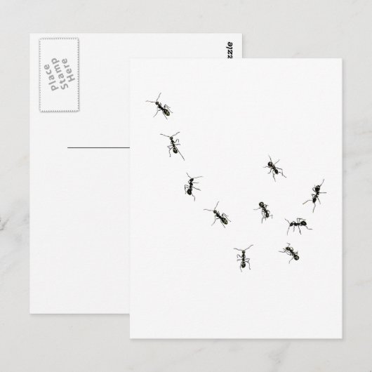 10アリ ポストカード (正面/裏面)