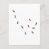 10アリ ポストカード (正面)