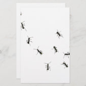 10アリ 便箋 (正面/裏面)