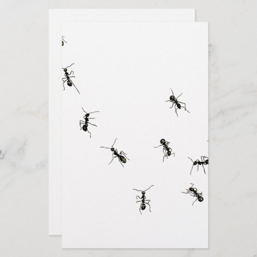 10アリ 便箋 (正面/裏面)