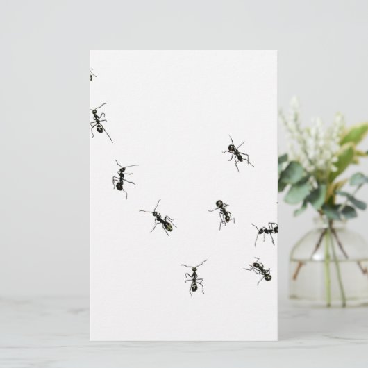 10アリ 便箋 (スタンド正面)