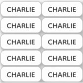 10シンプル個の小さな名前ラベルのセット シール (正面)