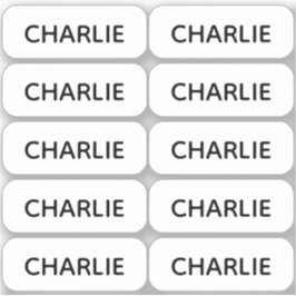 10シンプル個の小さな名前ラベルのセット シール